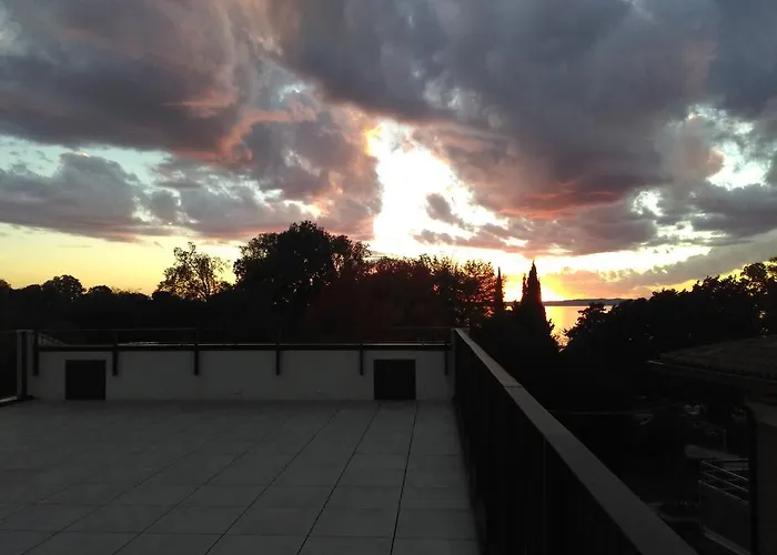 Orchidea Бардоліно