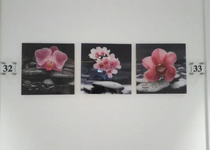 Готель Orchidea 3*