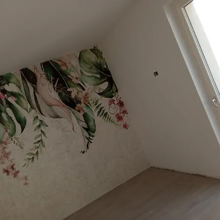 Orchidea