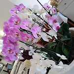 Hotel Orchidea