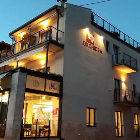 Hotel Orchidea 3*