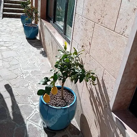 Orchidea 3* باردولينو