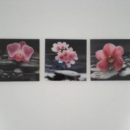 فندق Orchidea 3*