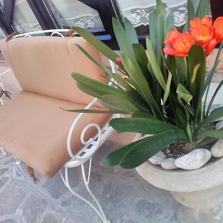 Готель Orchidea