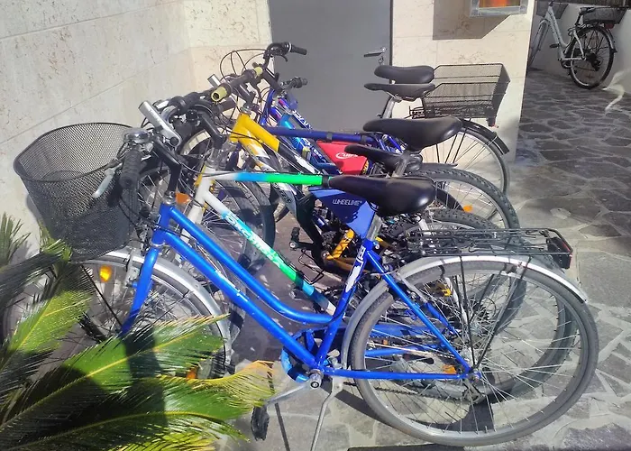 Orchidea Бардолино