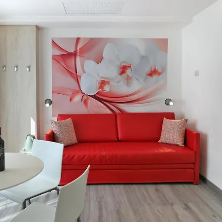 Orchidea Отель 3*